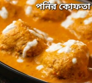 পনির কোফতা কারি